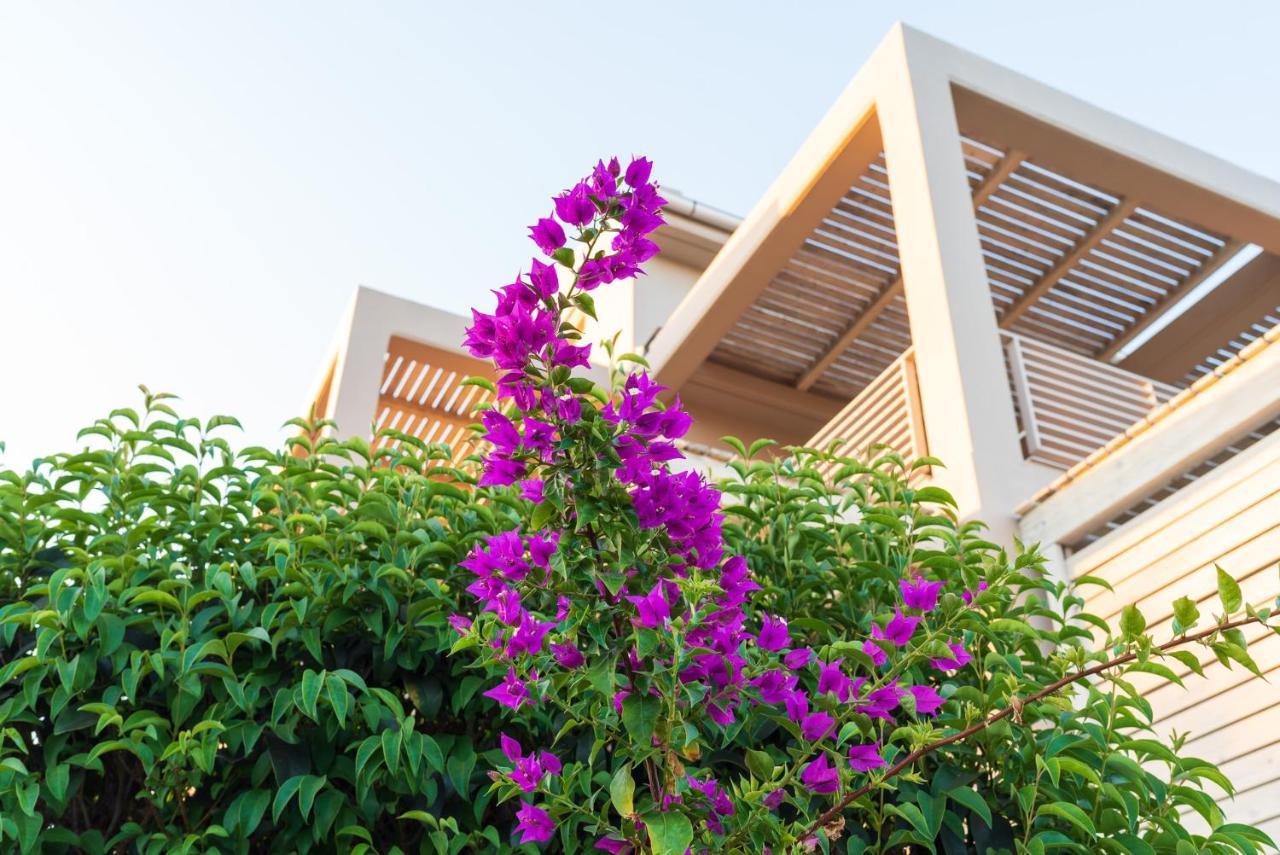 Aelia Home Suites Marathopoli Extérieur photo